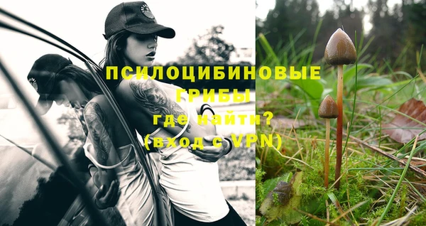 spice Белокуриха